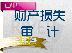 财产损失审计