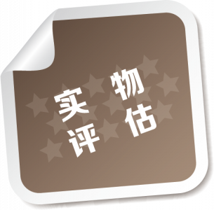 实物评估