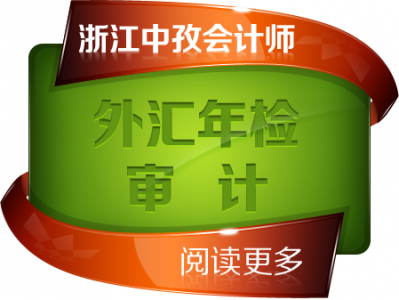 外汇年检审计