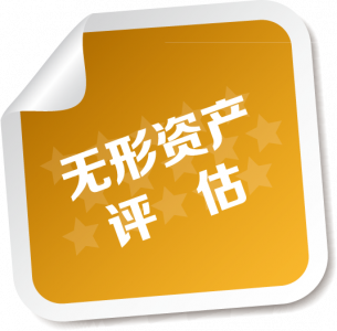 无形资产评估